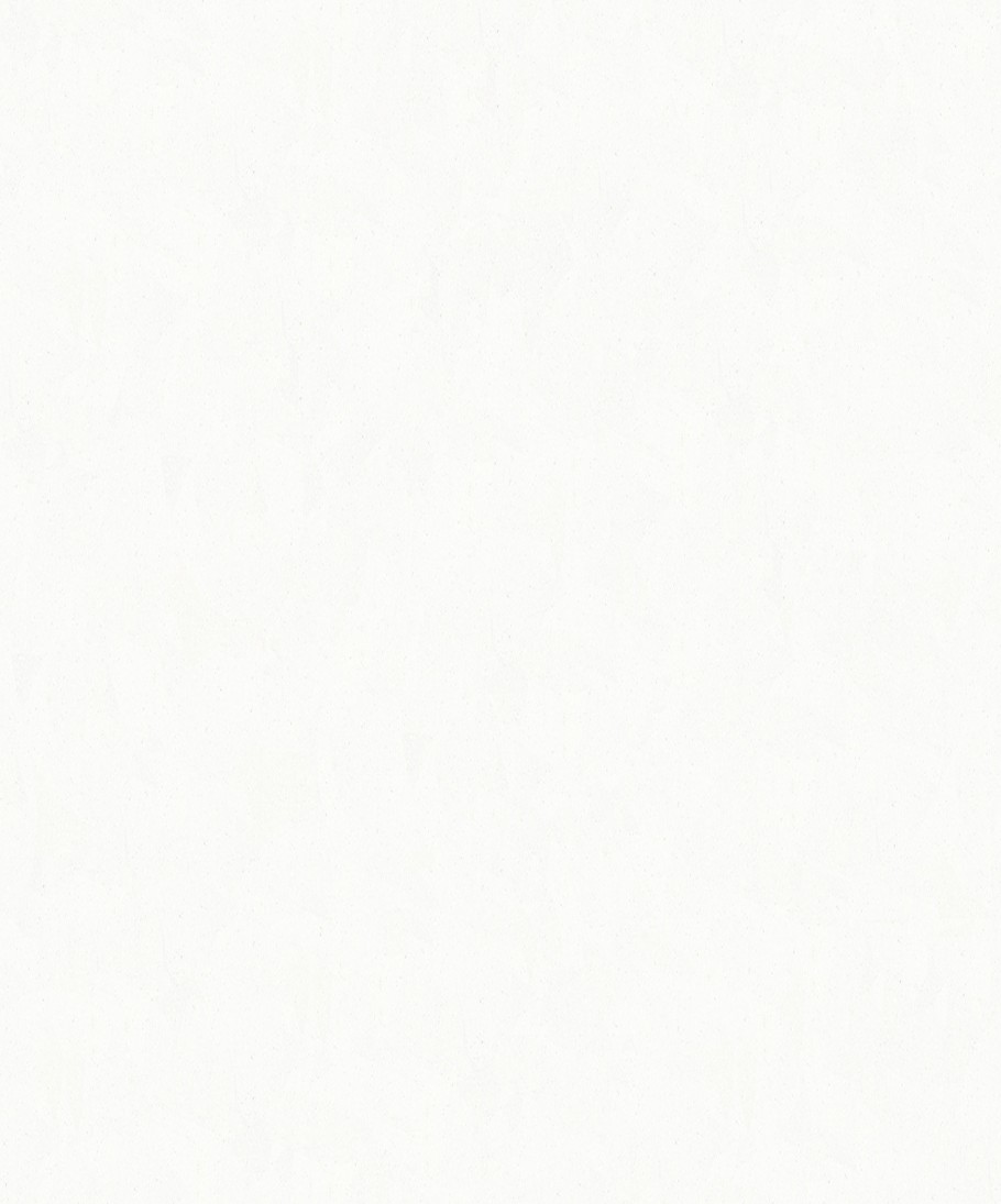 P004